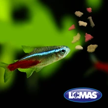 Feeders - Beige - View 2