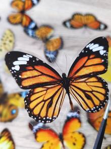 1包/40張復古蝴蝶PET貼紙，DIY拼貼材料 - 彩色 - 查看 6