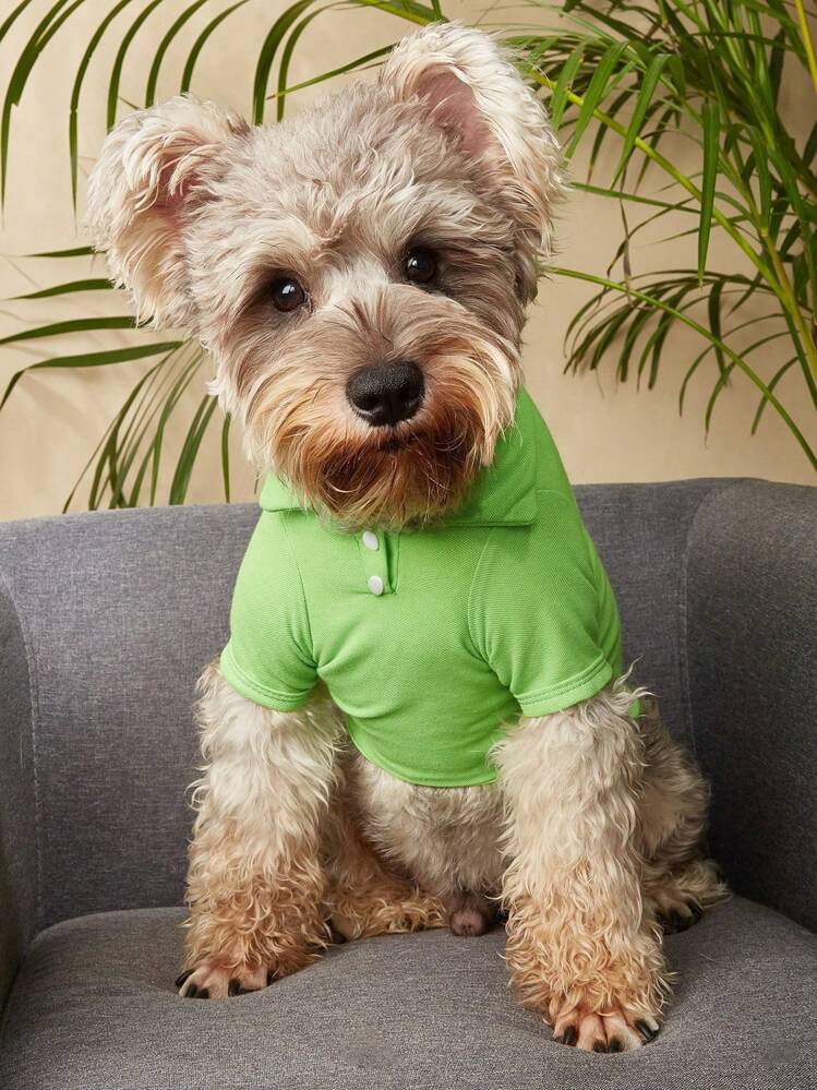 Solid color dog shirts sales