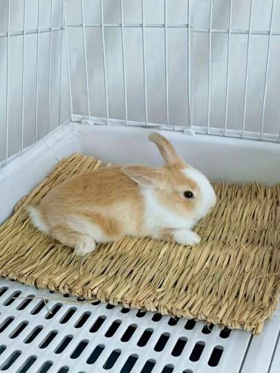 Hand Woven Rabbit Grass Mat, Hamster Foot Mat, Rabbit Grass Nest Pet Supplies