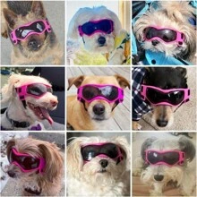 1pc Small Dog Sunglasses, UV Protection Goggles, Doggy Eye Protection, Pet Sunglasses, Arc-Shaped Outdoor Puppy Goggles, AntiFog Glasses For Pets The Two Pieces Set Offers Better Cost-Performance