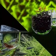 Dụng cụ cho giun đỏ ăn, chậu trồng cây thủy sinh, chậu trồng cây bằng nhựa cho bể cá - Nhiều màu - Xem 3