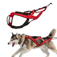 Arnés reflectante para arrastrar trineos para perros medianos y grandes - Chaleco de nailon ajustable a prueba de choques con almohadilla de soporte lumbar, apto para esquí de fondo con perro