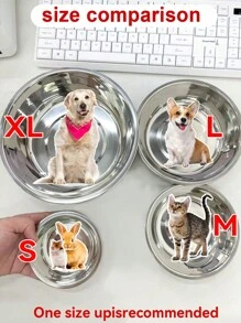 1 pièce/2 pièces Bol en acier inoxydable pour chat/chien, bol pour nourriture et eau pour animaux de compagnie, anti-dérapant et anti-morsure, durable