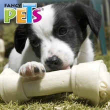 Fancy Pets Carnaza para Perros Sabor Pollo (17-20 cm) - Beis - Ver 3