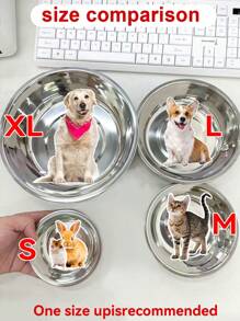 1 pièce/2 pièces Bol en acier inoxydable pour chat/chien, bol pour nourriture et eau pour animaux de compagnie, anti-dérapant et anti-morsure, durable