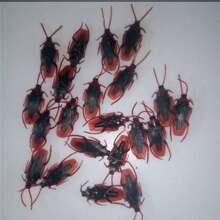 1pc Simulation Cockroach Toy Realistic Prank Insect Toy, Must-Have For Joking With Girlfriend - Multicolor - View 1