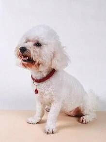 1 chiếc vòng cổ mặt dây chuyền đính đá hình dấu chân thú cưng thời trang và thanh lịch, thích hợp làm phụ kiện trong nhà và ngoài trời cho mèo và chó nhỏ (không thích hợp cho chó lớn). - Đỏ - Xem 5