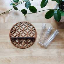 1个室内植物壁挂式种植架，植物繁殖站壁挂式，植物繁殖瓶，带木架的壁挂式繁殖站，多层塑料试管种植架，壁挂式生态瓶，适用于家庭办公室植物悬挂、花瓶、墙面装饰、水培扦插，带木架，适用于水培植物，独特的园艺用品，适合女性、母亲、植物爱好者、家居装饰、房间装饰、墙面装饰礼物、生日毕业礼物