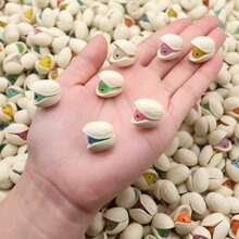 5/15/25 CÁI Mini Pistachio Vịt Trang trí Vịt phát sáng Hình thu nhỏ Vịt nhỏ phát sáng trong bóng tối Micro Fairy Garden Cảnh quan Vườn cổ tích Trang trí nhà - Nhiều màu - Xem 3