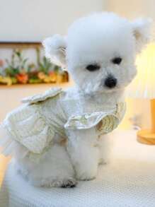 1 件宠物裙，公主风格全明星婚纱，适合狗和猫，白色 - 白色 - 查看 5