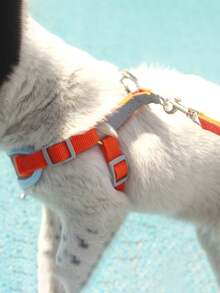 Dây nịt thú cưng, dây xích, dây xích chó nhỏ và vừa, dây xích chó kiểu vest, đồ dùng cho thú cưng - Nhiều màu - Xem 3