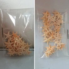50 piezas Artesanía de playa con estrellas de mar y conchas pequeñas naturales (de 0.5 pulgadas a 1.2 pulgadas) para decoración de acuarios y paisajismo de peceras - Multicolor - Ver 8
