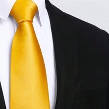 1 条 7.5 厘米/2.95 英寸纯色领带男士领带适合商务和婚礼 - 彩色 - 查看 23
