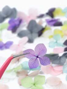 FULL BEAUTY 1 Box Nail Art Flower Decoration Hydrangea Artificial Flowers Petal Romantic For Uv Polish Diy Nail Art Accessories Nail Charms Nail Gems Nail Supplies Nails