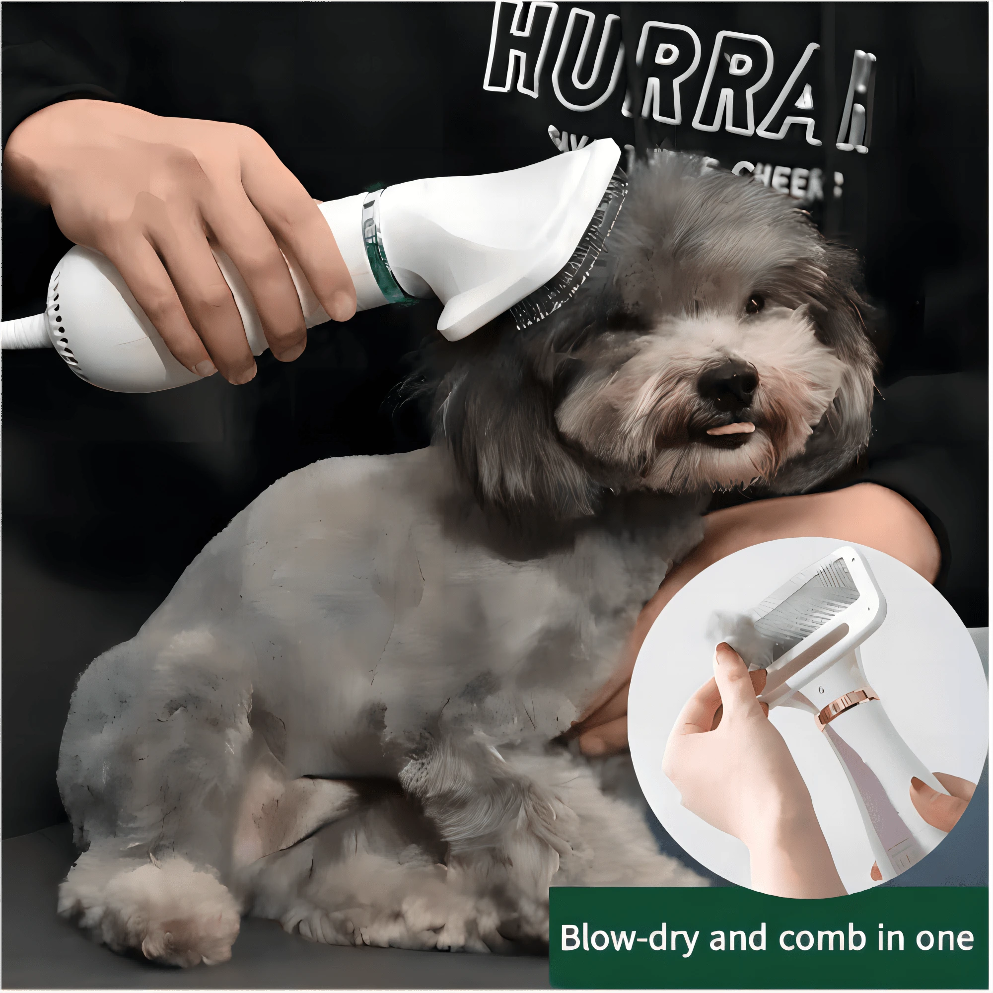 Pet Hair Dryer, 2 In 1 Pet Grooming Hair Dryer With Sliding Brush, Home