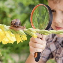 1pc 60mm Glass 10x Handheld Magnifying Glass With Non-Slip Rubber Handle, For Reading, Classroom Science, And Nature Exploration - Orange - View 6