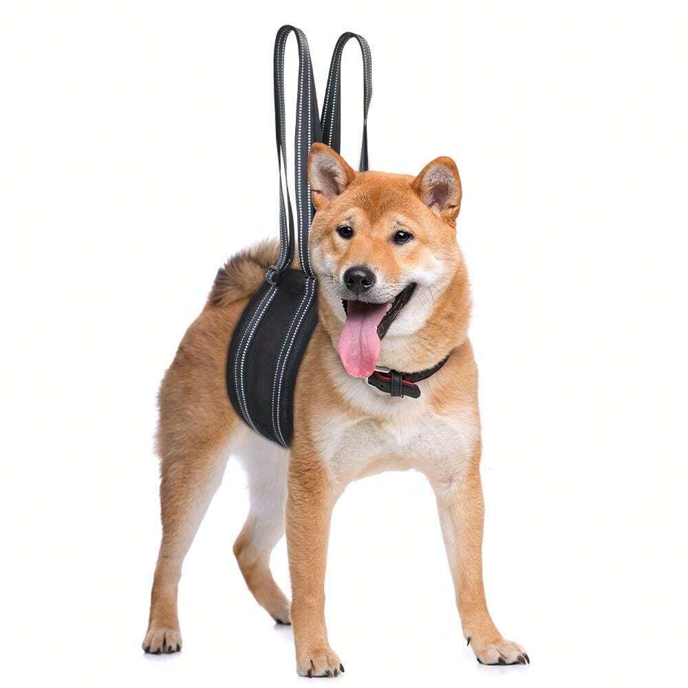 Dog Lifting Harness, Portable Dog Harness, Help Dog Support Weak Hind