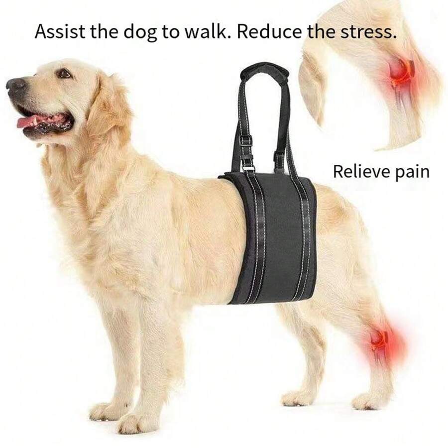 Dog Lifting Harness, Portable Dog Harness, Help Dog Support Weak Hind
