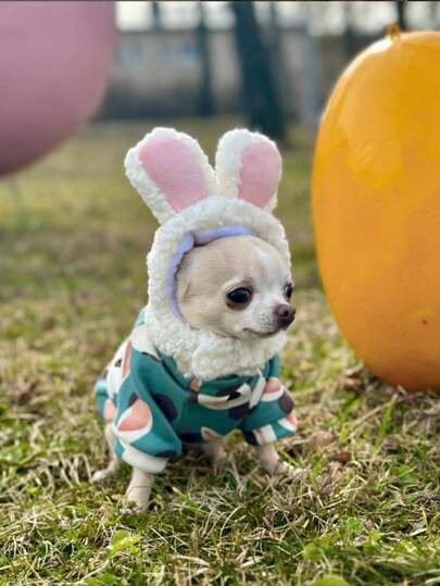 1pc Cute Bunny Hat Dressed Up For Cat And Dog Parties