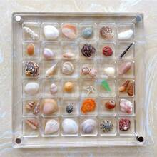 1pc Small Multi-Compartment Seashell Storage Box, Acrylic Square Container For Shell Nail Art Display, Transparent And Thick Acrylic Showcase - Transparent - View 2