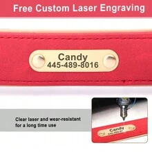 Vòng Cổ Cho Chó PU Hoa Cá Tính Có Khắc Tên, In Chống Lạc Chihuahua/Chó Bulldog Pháp Vòng Cổ ID Có Thể Điều Chỉnh Cho Chó Nhỏ/Vừa - Đỏ - Xem 7