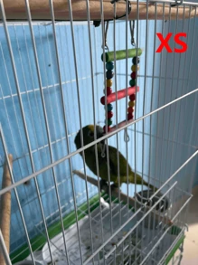 1pc Random Color Handmade Dyed Bead Decor Ladder Design Parrot Toy, Suitable For Bird Climbing Swing Cage Accessories And Supplies