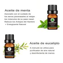 MOLOLAN Reed Diffuser Oils