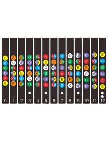 Pegatinas de notas de diapasón de guitarra, ayuda de aprendizaje para principiantes de guitarra eléctrica, guía de teoría musical, accesorios de guitarra - Multicolor - Ver 6