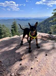 4入組前抽繩寵物鞋子 - 黑色 - 查看 6