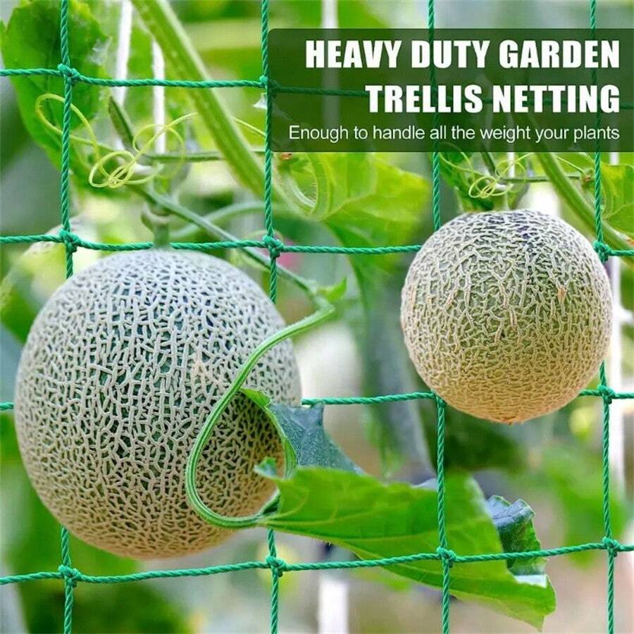 HiQuality Nylon Garden Netting Loofah Morning Glory Flowers Vine