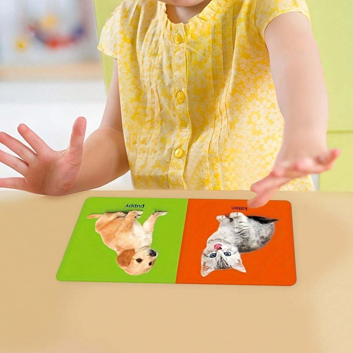 1 Box Of 6 Children s Favorite English Learning Flashcards 6 Different 1-box-of-6-children-s-favorite-english-learning-flashcards-6-different