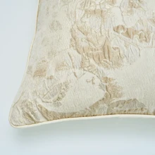 1入精品枕頭套，高精密度浮雕花紋圖案，沙發裝飾枕套，18x18英寸，20x20英寸（不含枕芯） - 米色 - 查看 4