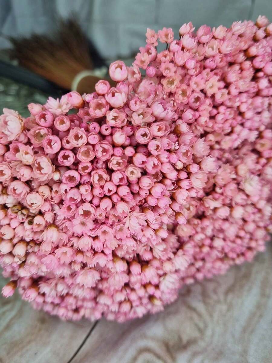 Artificial Flowers - 乾枯玫瑰色 - 查看 1