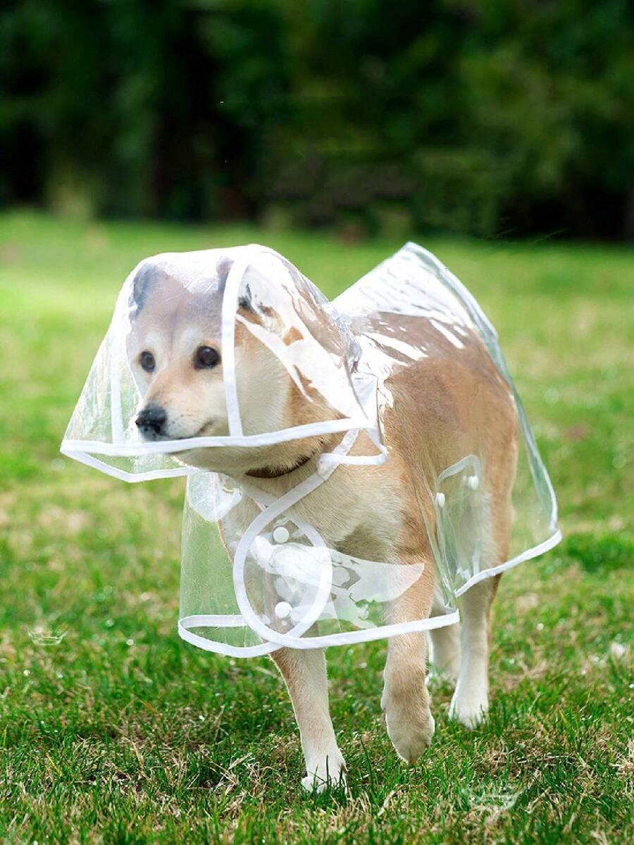1pc Pet Transparent Hooded Raincoat, Suitable For Walking Dogs In The Rain