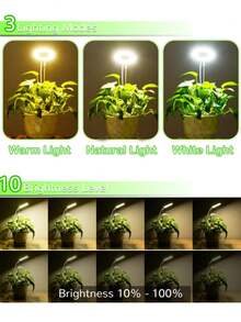 1pc LED Plant Grow Light, Indoor Full Spectrum Plant Lamp For Succulent Plants And Small Plants, Adjustable Brightness & Height With Auto Timer, USB Powered - 3 Colors - View 4