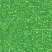 Wall Paper - Nhiều màu - Xem 5