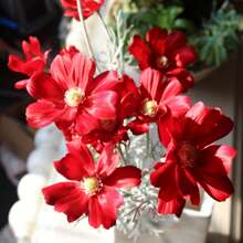 1pc Artificial  Chrysanthemum Simulation Flower For Home Decoration, Living Room/Bedroom - Red - View 7