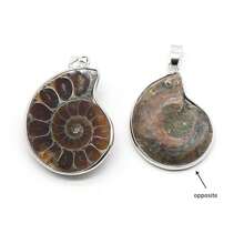 1入組天然菊石石斑彩蝸牛殼化石包裹吊墜，適合DIY首飾製作項鏈配飾 - 棕色 - 查看 4