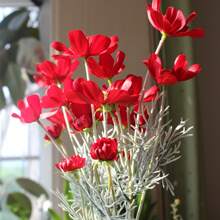 1pc Artificial  Chrysanthemum Simulation Flower For Home Decoration, Living Room/Bedroom - Red - View 2