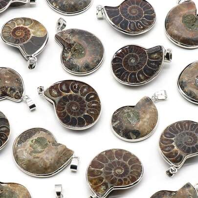 1pc Natural Ammonite Stone Spot Colored Snail Shell Fossil Wrapped Pendant For DIY Jewelry Making Necklaces Accessories