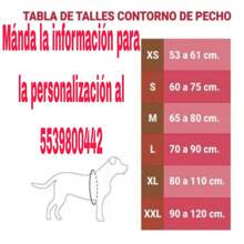 Arnes Para Perro Bulldog Ingles Personalizado Uso Rudo - Azul - Ver 2