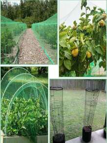 Garden Anti-Bird Netting For Vegetables And Fruit Trees, 13X50 Feet Plastic Mesh Net For Bird, Deer, Squirrel And Other Animals, Suitable For Greenhouse - Multicolor - View 7