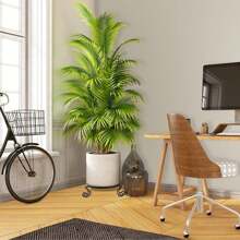 Metal Plant Stand Indoor,Outdoor Plant Stands Plant Holders, Low Plant Stand Corner,Small Plant Stand For Indoor Plants,Heavy Duty Plant Stand,Flower Pot Holder Rack Plant Display Shelf,Black (3 Pack) - 黑色 - 查看 8