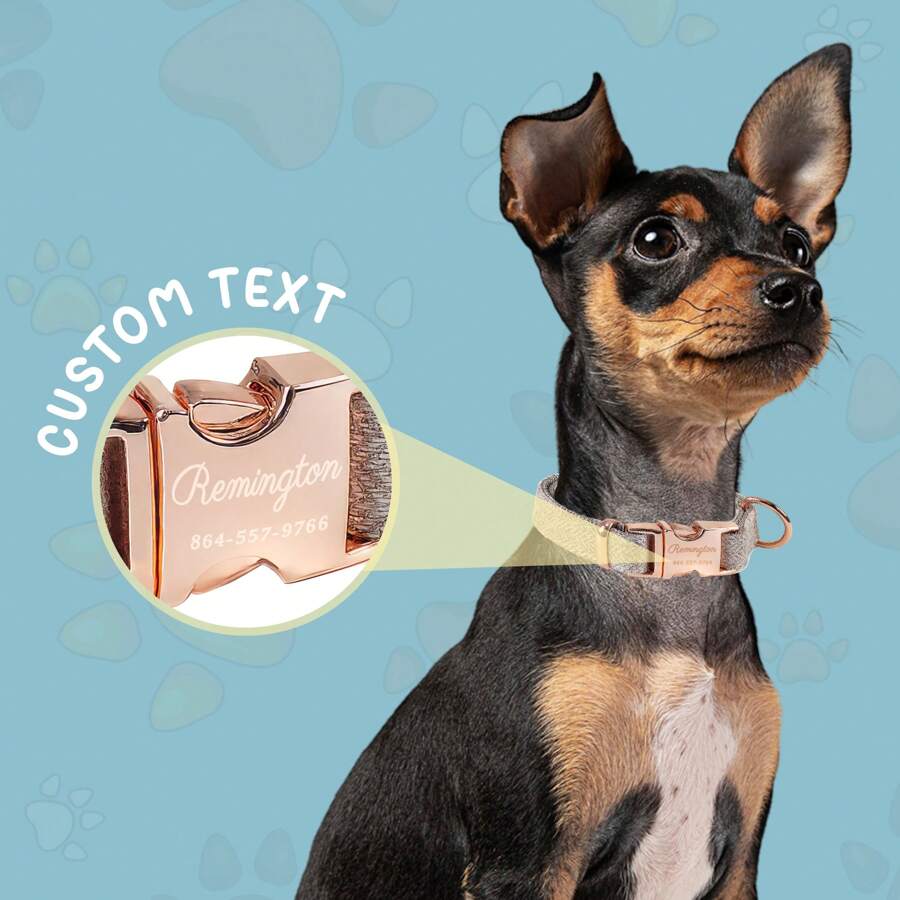 1 Vòng Cổ Thú Cưng Tùy Chỉnh Họa Tiết Xương Cá, Thời Trang Có Thể Điều Chỉnh Chất Liệu Nylon Màu Trắng Khóa Thép Không Gỉ, Được Cá Tính Với Tên, Dành Cho Chó Và Mèo Yêu Quý, Vòng Cổ Cho Chó - trắng - Xem 1