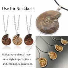 1入組天然菊石石斑彩蝸牛殼化石包裹吊墜，適合DIY首飾製作項鏈配飾 - 棕色 - 查看 7