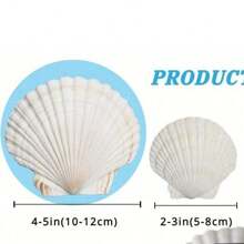 5pcs Shells For Crafts 4''-5'' White Scallop Shells, For Baking Shells, Crafts DIY Painting Beaching Wedding Decoration, Beach Scallop Shells Bulk Best Gifts Birthday Graduation - 5pcs - View 2