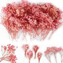 50 Mini Pink Dried Baby's Breath Flowers, 1000+ Natural Gypsophila, Dry Flowers Bulk For Vase Resin Nails, Art Crafts DIY Pressed Flower Making, Valentine's Day Decor, Room Party Table Wedding Gifts A Bouquet Of 10 Flowers, Valentine Day, Gift - Multicolor - View 2