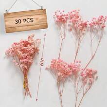 50 Mini Pink Dried Baby's Breath Flowers, 1000+ Natural Gypsophila, Dry Flowers Bulk For Vase Resin Nails, Art Crafts DIY Pressed Flower Making, Valentine's Day Decor, Room Party Table Wedding Gifts A Bouquet Of 10 Flowers, Valentine Day, Gift - Multicolor - View 4