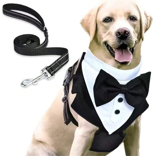New Pet Vest Harness Clothes For Small/Medium/Large Dogs, Leash And Suit Costume